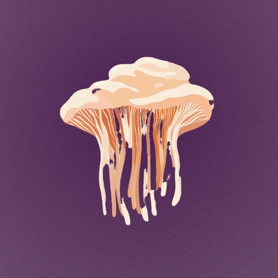 lion’s mane