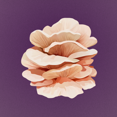 maitake