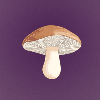 shiitake